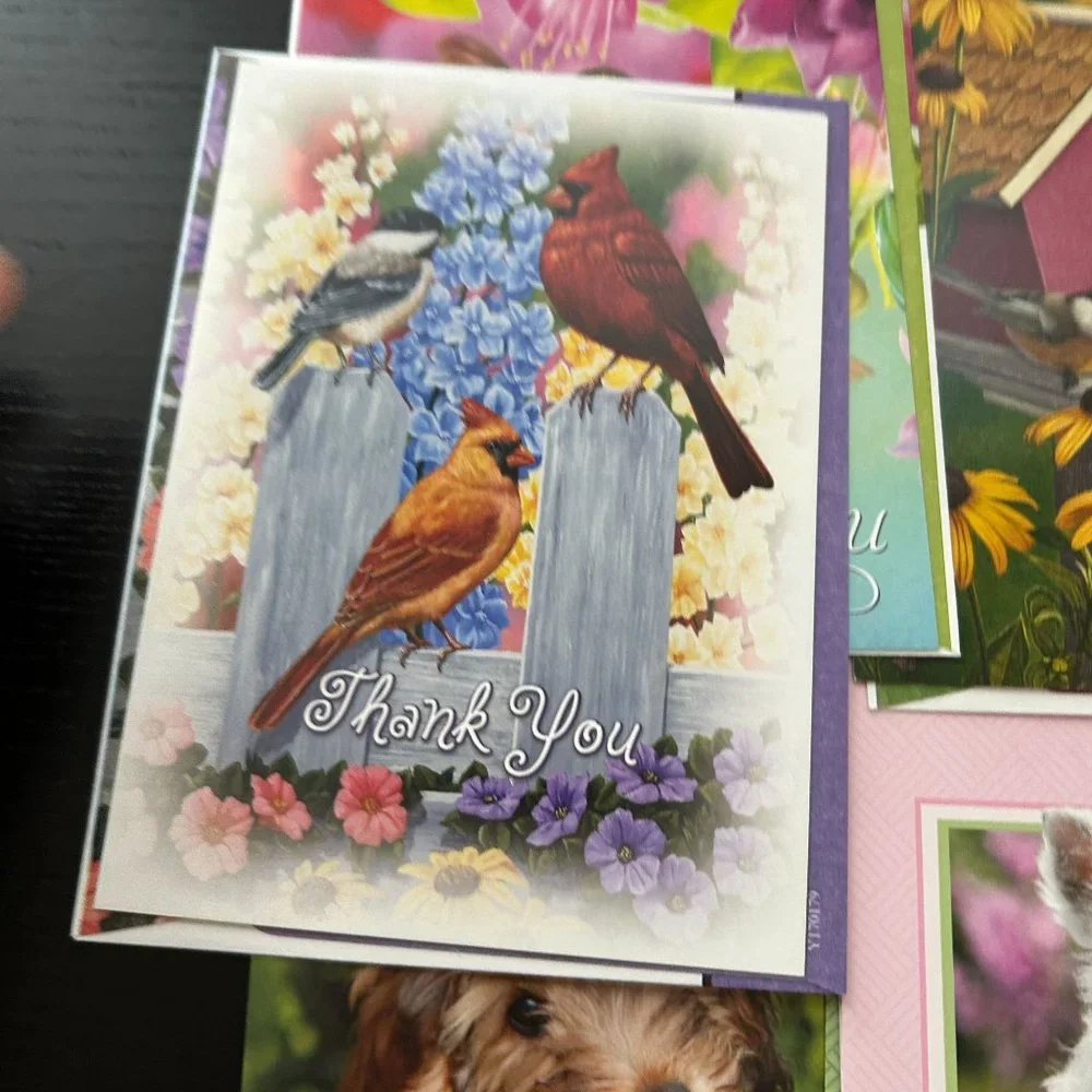 Mixed Lot of 28 Greeting Cards w/ Envelope Dogs Puppies Cats Kittens and Birds